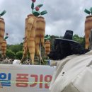 영주문화시장 | 애견동반 2025 경북 영주 한국선비문화축제 후기