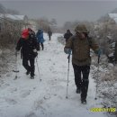 이종덕농장 | 3구간(목통령 ∼ 장자동고개)