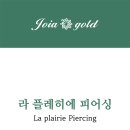 라 플레히에