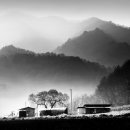 윤온누리약국 이미지