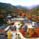 구례 이미지
