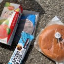 [제2회] 아트밸리 아산 이순신 백의종군길 마라톤 후기