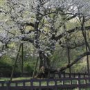 호텔바바 이미지