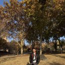 안경제작소 | 가벼운 무테 안경 긱시크 [실루엣 5515] 내돈내산 후기 가격 | 이재용 안경