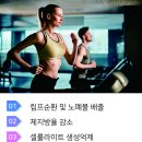 소닉스 이미지