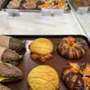 카페아리아 이미지