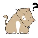 마스터 배 아카데미 이미지