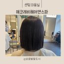 부산 [센텀 미용실] 에코레비헤어앤스파 해운대센텀점 복구매직 후기(feat.성희쌤)