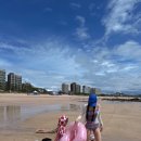 GS25 배방토마토점 이미지