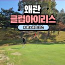 아이리스스크린골프 | 왜관 &#39;클럽아이리스&#39; 파 3 골프장