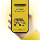 펫택시콜 이미지