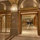 라세느2 이미지