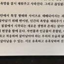 SEMA창고 네이버블로그