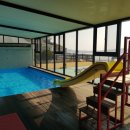 까멜리아 이미지