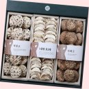 영진 GIFT