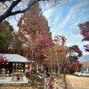 수원-1941 | 아이랑 수원 광교 ‘카페1941‘ 다녀온 후기 | 아이랑 주말에 갈만한 카페 추천