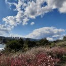 센스이비인후과의원 이미지