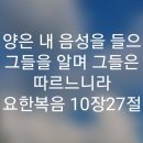 돈복순대국 이미지