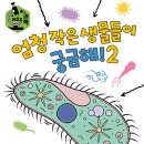 ㅁ엄청 작은 생물들이 궁금해! 2// 애나 클레이본/매튜 릴리//키위북스(어린이)2026-02-25 이미지