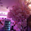 TOP노래연습장 이미지