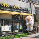 야옹아 멍멍해봐 별내점 이미지