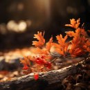 11월 13일 목요일 간추린 뉴스와 날씨 이미지