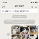 [후기] 유어버킷리스트님의 반려동물 제작 카톡 테마
