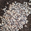 채움농장2 이미지