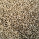 곰밭농장 이미지