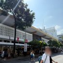 시장마트 | 다낭 한시장 쇼핑 후기 &amp; 롯데마트 다낭