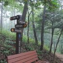 용해동행정복지센터 이미지