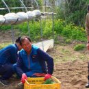 정당농장 이미지