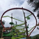 주소 맞은편 공원 이미지