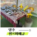 포레이즈 이미지
