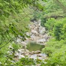 삼성식당 이미지