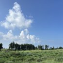 흑돼지가노는마차 | 제주도 가을 액티비티 제주레일바이크 예매 할인 내돈내산 후기