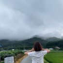 사천포롱민박 이미지