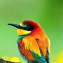 (주0미디어랜드 이미지