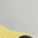 그루댕댕 이미지
