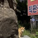 잇츠제주