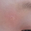 진암휴게소전주기사식당 | [경주] 수학여행