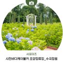 초양 | 사천바다케이블카 초양정류장 수국정원