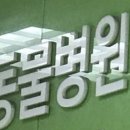 이:은동물병원 이미지