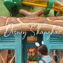 (주)화정성여행사 | 상하이 상해 디즈니랜드 티켓 입장권 등록 클룩 가격 최저가 + 불꽃놀이 시간 픽업 후기