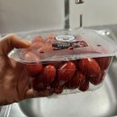 D01097 | 크리스마스 동유럽 여행기(9) 프라하에서 드레스덴 당일치기 | 드레스덴 크리스마스 마켓...