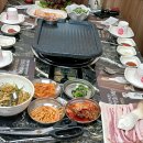 돈비촌 티스토리
