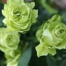 내가그린바다 이미지