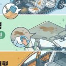 제트게러지