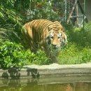 광주광역시 우치동물원 동물병원 이미지