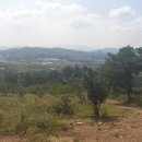 솔티농원 이미지